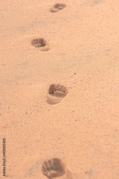 Obraz footprint in the sand
