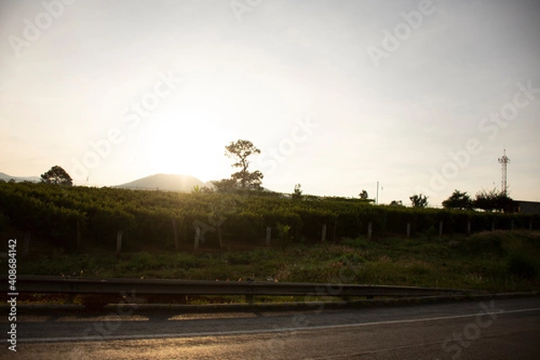 Obraz sunset over the river