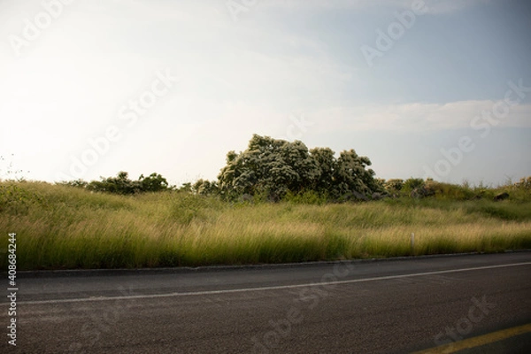 Obraz road in the field