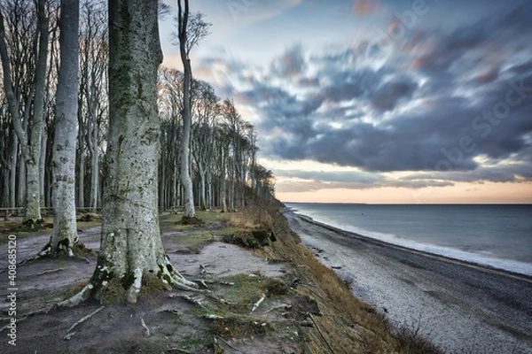 Fototapeta amazing sunset on the coast from the ghost forest "Gespensterwald" nienhagen baltic sea germany, beautiful evening on the beach with dramatic clouds on the horizon, fallen trees