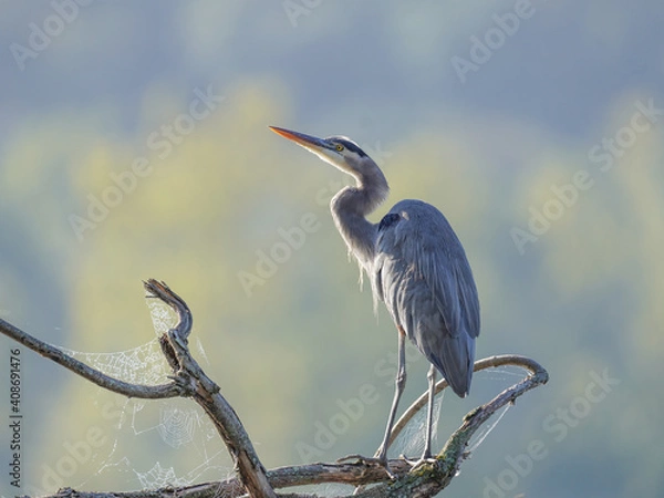 Obraz Fall Is Coming