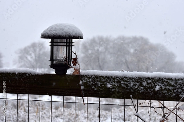 Obraz Lantern in the snow