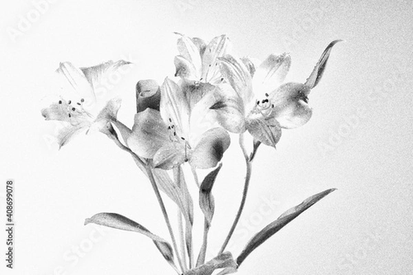 Obraz white and black