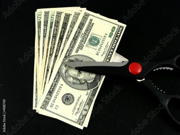 Obraz cutting the budget