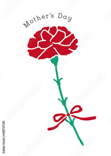 Fototapeta 母の日のカーネーション