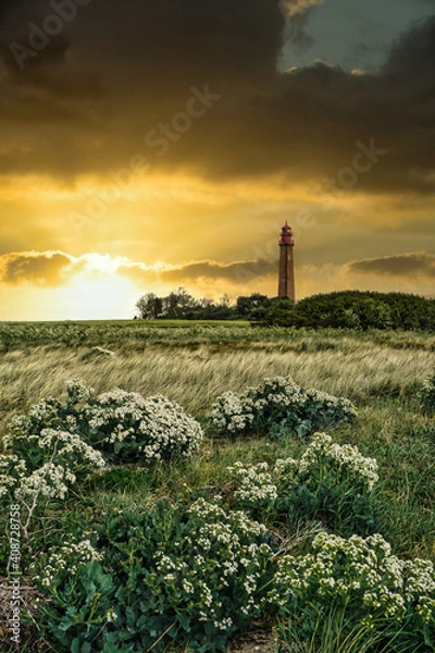 Fototapeta The Landscape Of Fehmarn - Sunset With Lighthouse In The Background...
