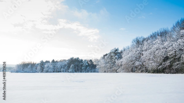 Obraz Verschneiter weißer Wald mit Wiese im Vordergrund