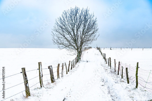 Obraz Verschneiter Weg der bis zum Horizont reicht