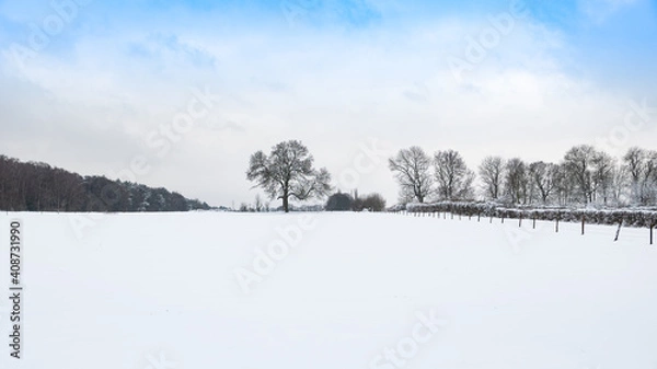 Obraz Winterlandschaft mit Bäumen und freiem Feld