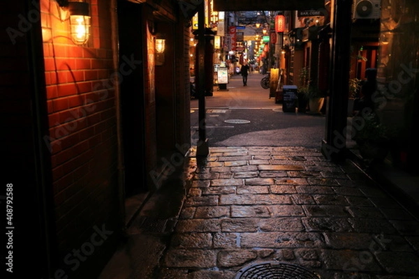 Obraz 法善寺横丁　難波　大阪　日本