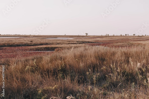 Fototapeta The most beautiful landscape in the reserve on a clear day on the island