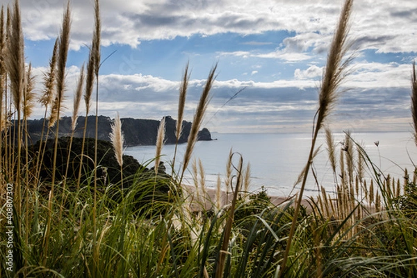 Obraz Hot Water Beach