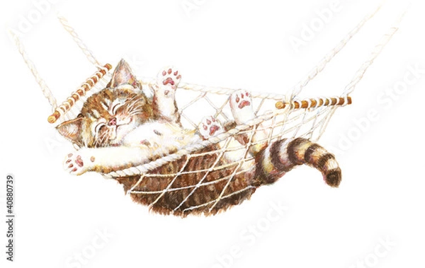 Obraz słodki kotek w hamaku