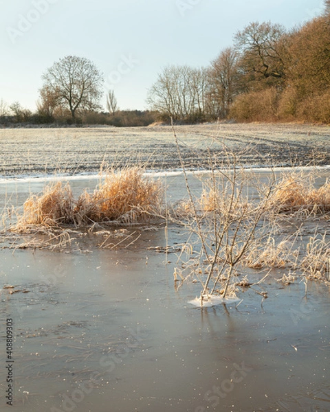 Obraz Winter Landscape with frost and ice on trees and frozen water. In winter sunshine.