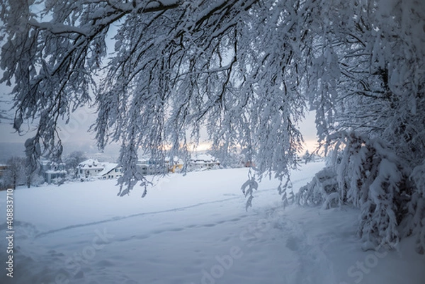 Obraz Winterlandschaft
