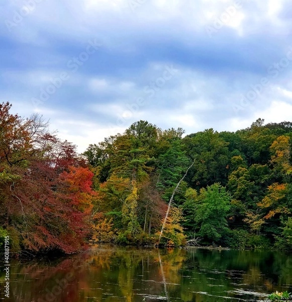 Obraz Autumn Pond