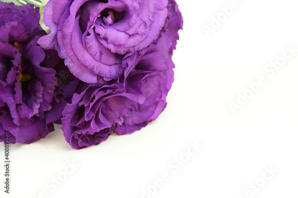 Fototapeta トルコキキョウの花束