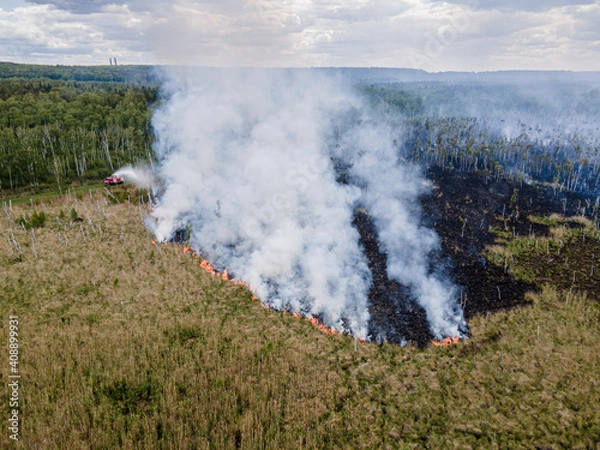 Obraz Waldbrand in Brandenburg