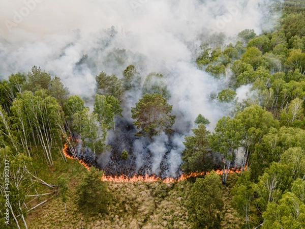 Obraz Waldbrand in Brandenburg