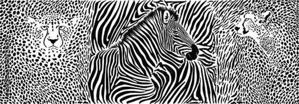 Obraz Animals background - pattern with zebra and cheetahs motif