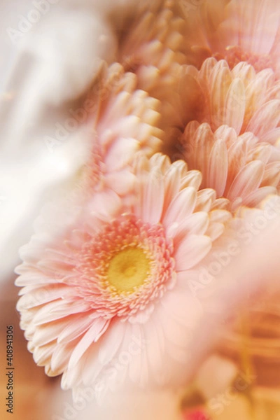 Fototapeta Creative abstract natural background.Pastel pink gerbera daisy photographed through a prism for a Surreal Prisming Shot Of. Spring flowers shot with kaleidoscope effect. Floral layout, wallpaper.