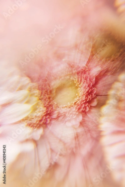 Fototapeta Creative abstract natural background.Pastel pink gerbera daisy photographed through a prism for a Surreal Prisming Shot Of. Spring flowers shot with kaleidoscope effect. Floral layout, wallpaper.