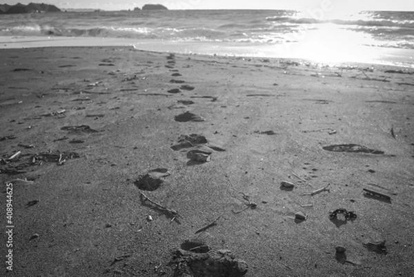 Obraz footprints on the beach