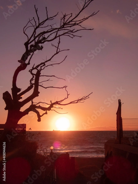 Obraz couple at sunset