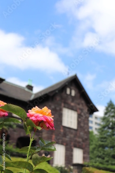 Fototapeta 旧古河庭園のバラ園