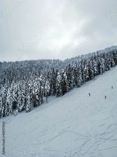 Fototapeta Landscape of trees covered with snow on a Zlatibor mountain