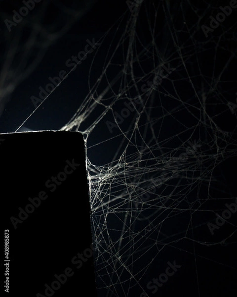 Obraz Spidersweb 