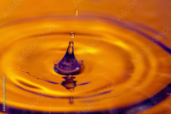 Obraz Water Droplets