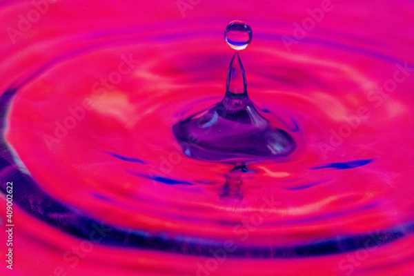 Obraz Water Droplets