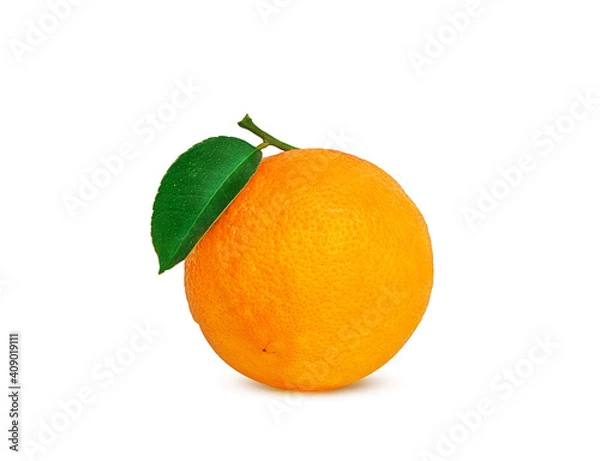 Obraz ripe orange on a branch on a white background