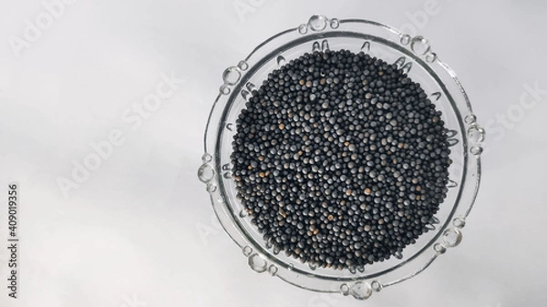 Obraz mustard seeds in glass bowl on a white isolated surface