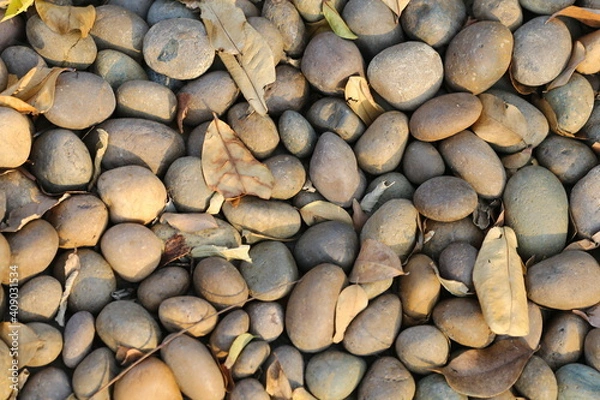 Fototapeta stone wall background