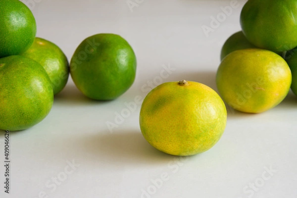 Obraz Green tangerines on white background