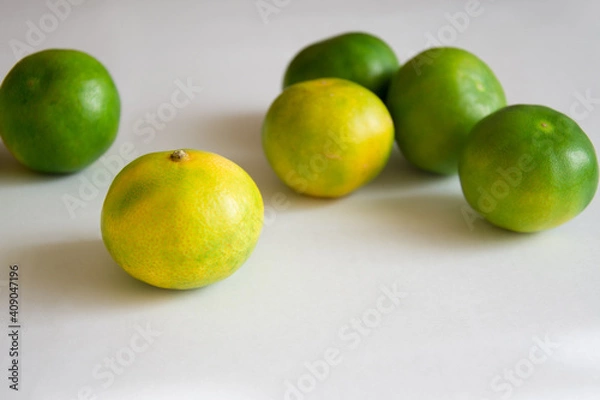 Obraz Green tangerines on white background