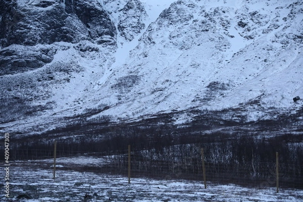 Obraz Sweden in december