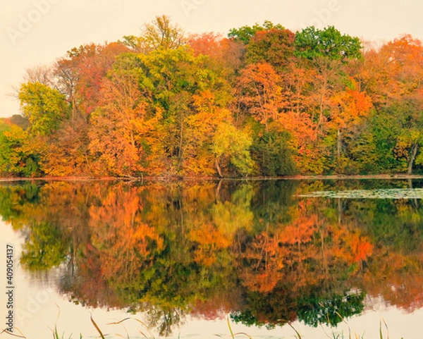 Obraz Fall trees over a lake
