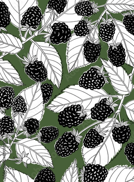 Obraz Blackberry pattern illustration in creative art style.