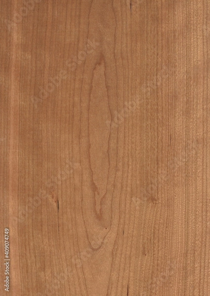 Obraz Amerikanischer Kirschbaum