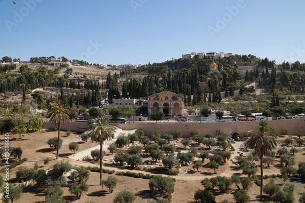 Obraz mount of Olives in jerusalem