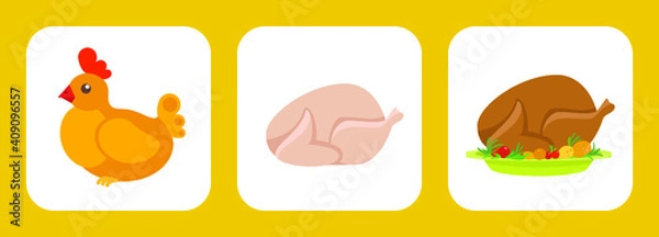 Obraz Chicken icon flat set.Vector colorful illustration