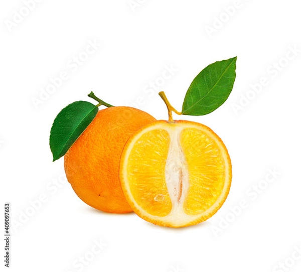 Obraz ripe orange on a branch on a white background