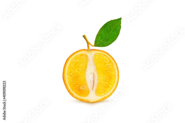 Obraz ripe orange on a branch on a white background