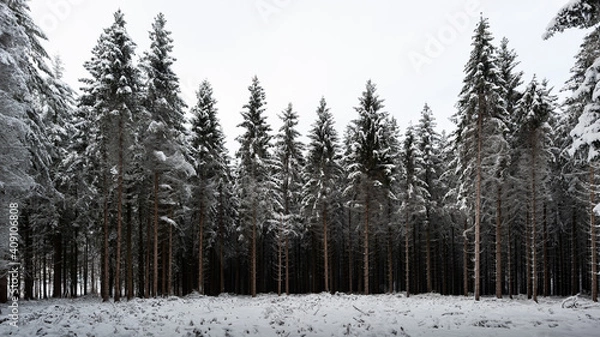 Obraz Neige dans les sapins