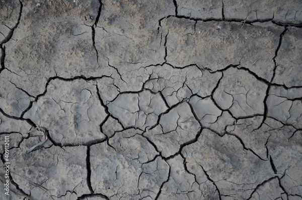 Fototapeta cracked earth texture