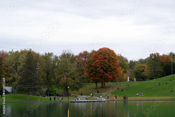 Obraz otoño típico