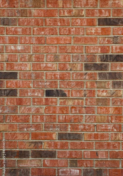 Obraz Red and Black Brick Wall